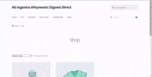 Ingenico Direct Demo Gif We Are Ag